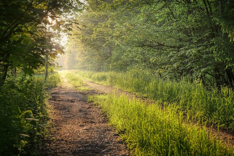 Certification Paths